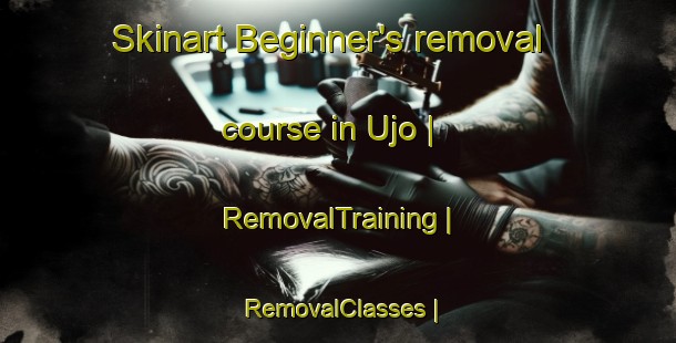 Skinart Beginner's removal course in Ujo | RemovalTraining | RemovalClasses | SkinartTraining-Spain